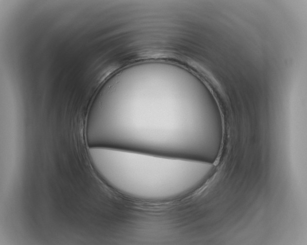X0000112841273200908210951