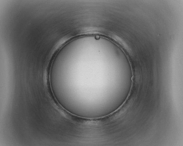 X0000112841277200908210951