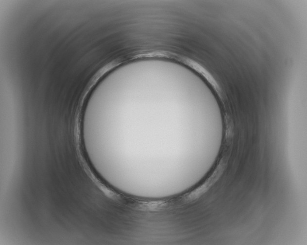X0000112841282200908210951