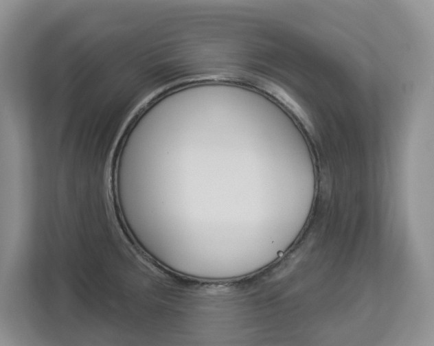 X0000112841283200908210951