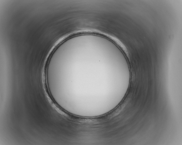 X0000112841287200908210951