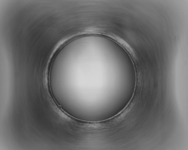X0000112841288200908210951