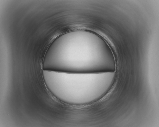 X0000112841289200908210951