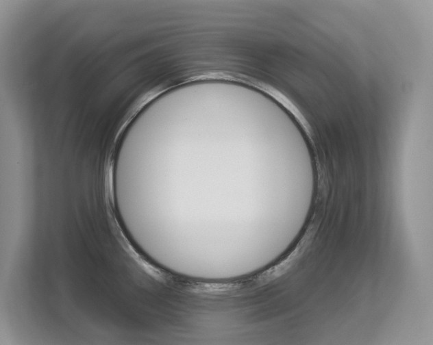 X0000112841290200908210951