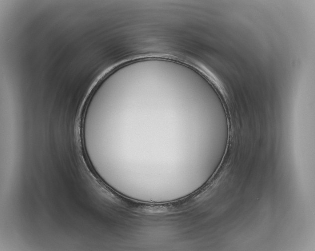 X0000112841291200908210951