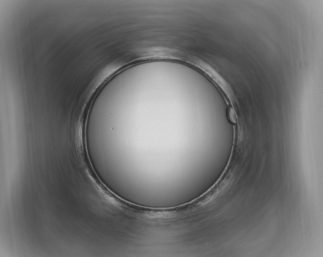 X0000112841293200908210951