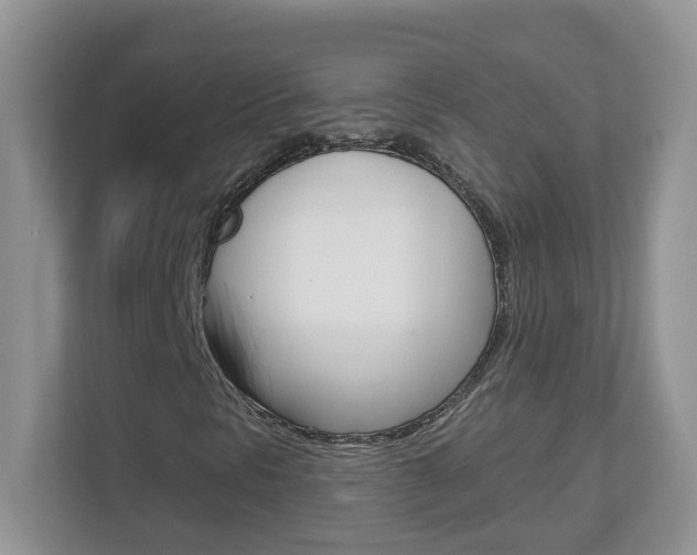 X0000112841297200908210950