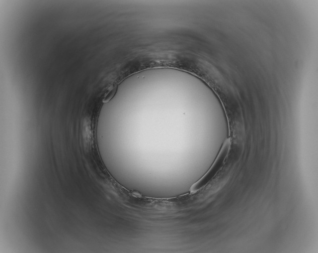 X0000112841298200908210950