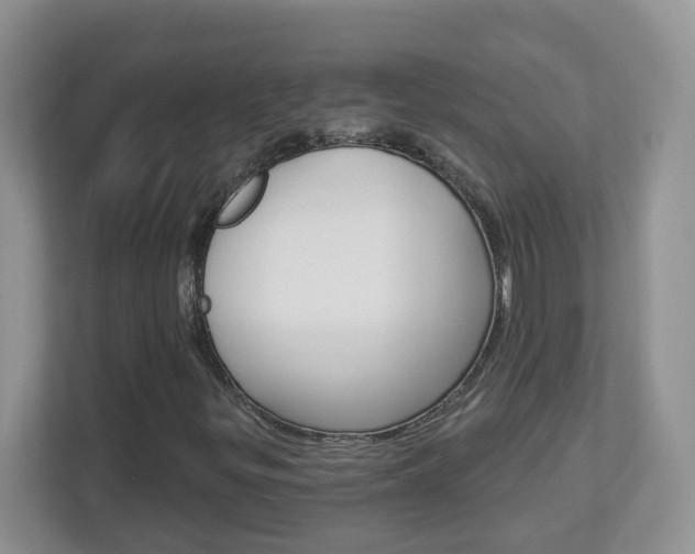 X0000112841299200908210950