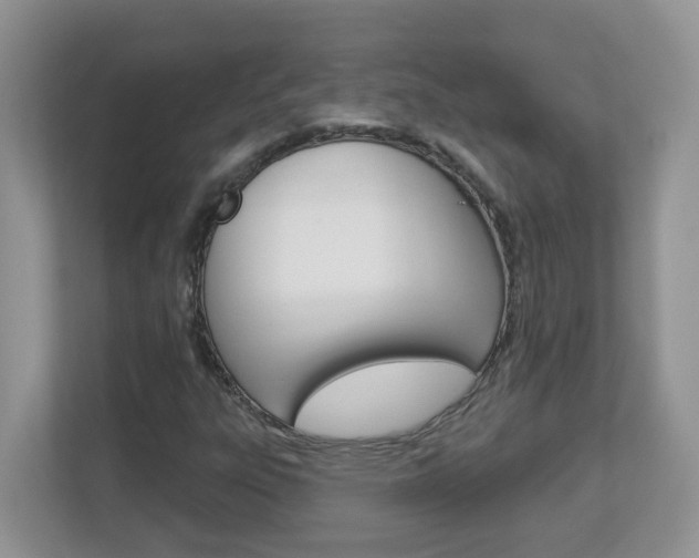 X0000112841303200908210951