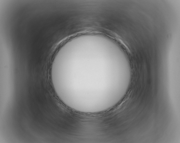 X0000112841304200908210951