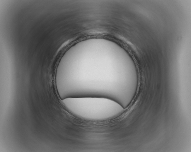 X0000112841306200908210951