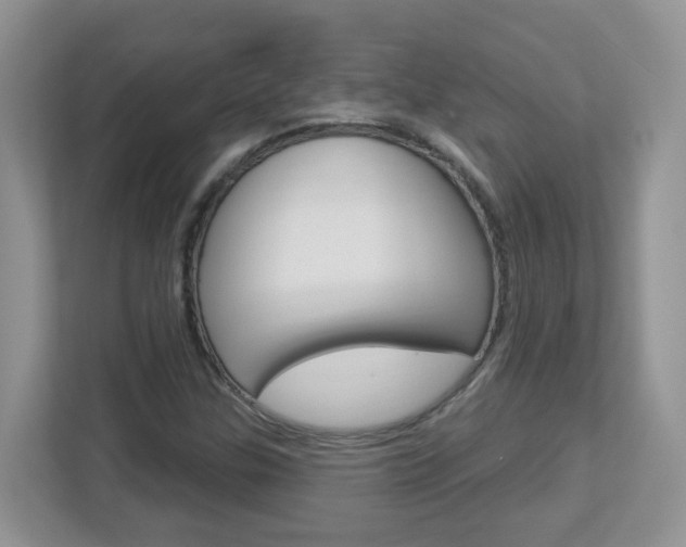 X0000112841307200908210951