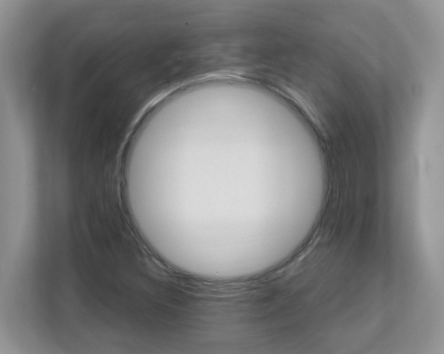 X0000112841308200908210951