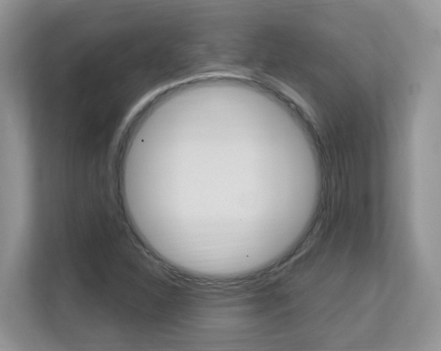 X0000112841310200908210951