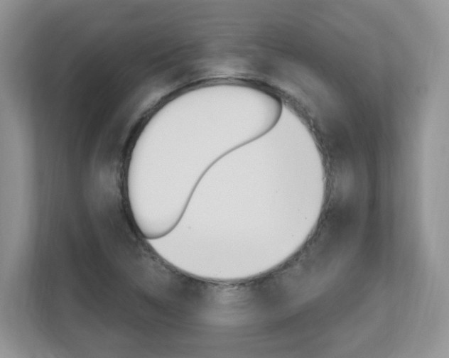 X0000112841314200908210951