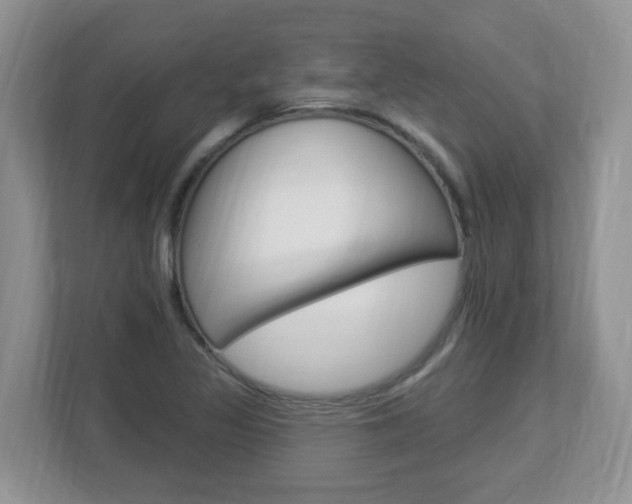 X0000112841317200908210951