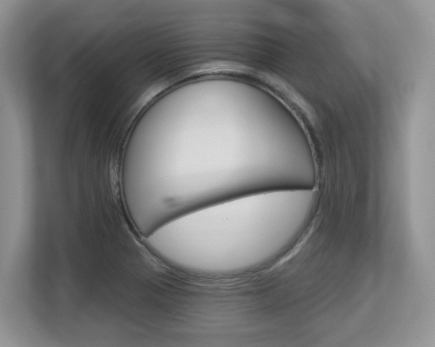 X0000112841321200908210951