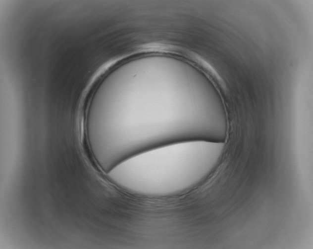 X0000112841323200908210951