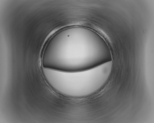X0000112841324200908210951