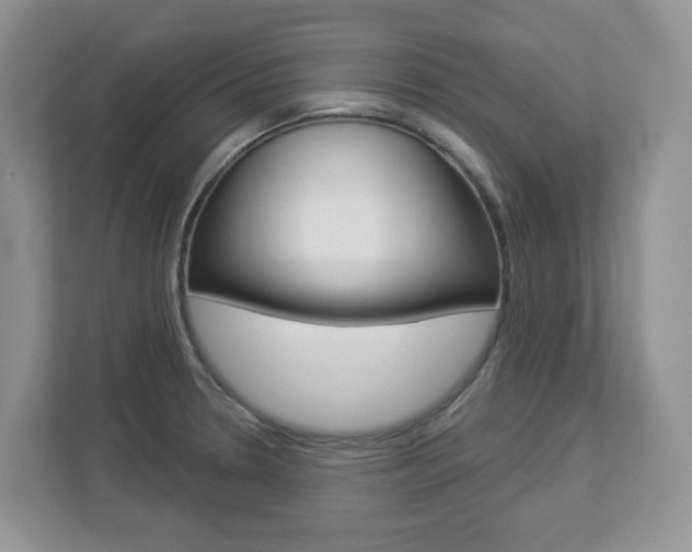 X0000112841330200908210951