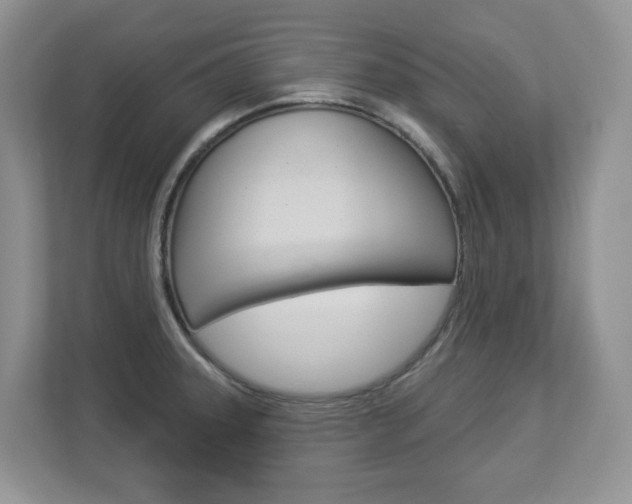 X0000112841331200908210951