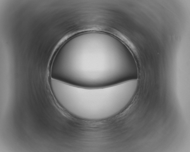 X0000112841332200908210951