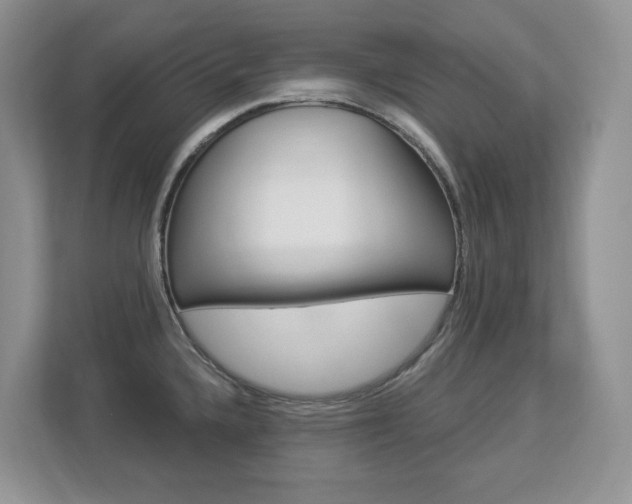 X0000112841336200908210951