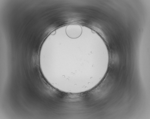 X0000112841338200908210951