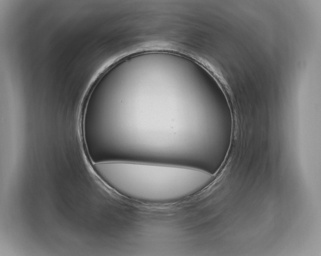 X0000112841342200908210951