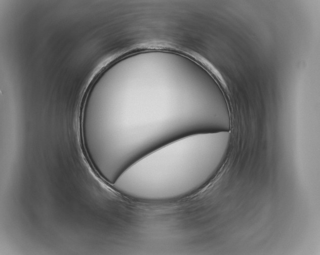 X0000112841343200908210951