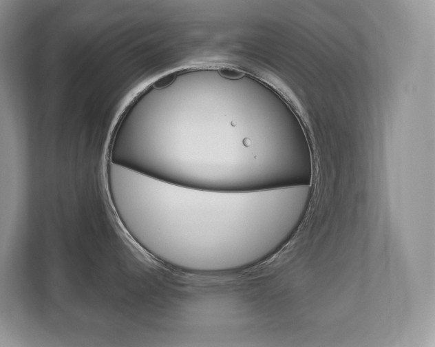 X0000112841344200908210951