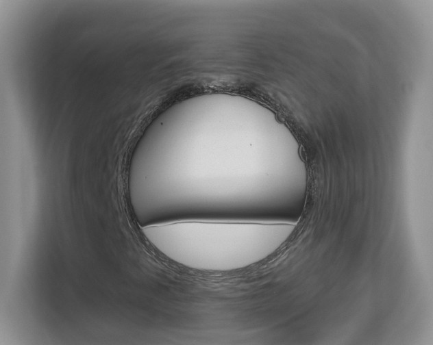 X0000112841345200908210950