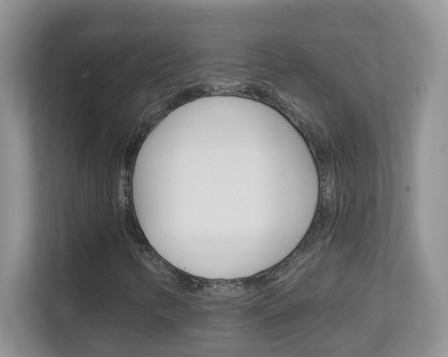 X0000112841346200908210950