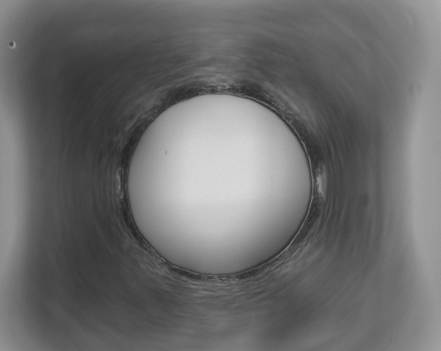 X0000112841347200908210950