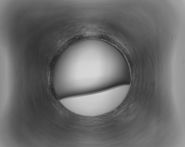 X0000112841348200908210950