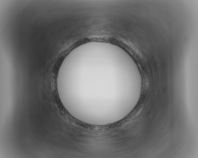 X0000112841350200908210950