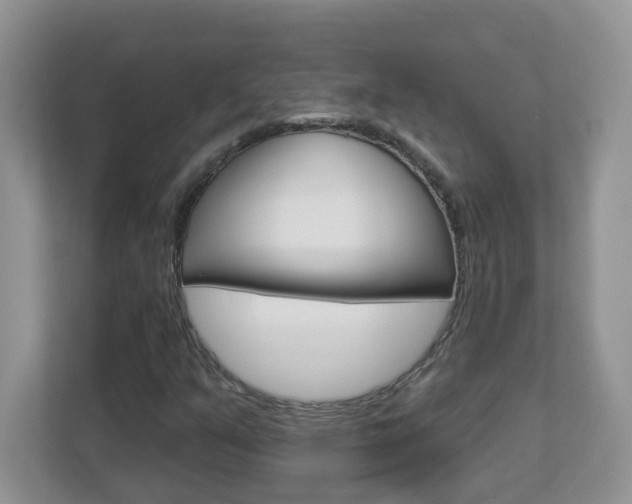 X0000112841351200908210950