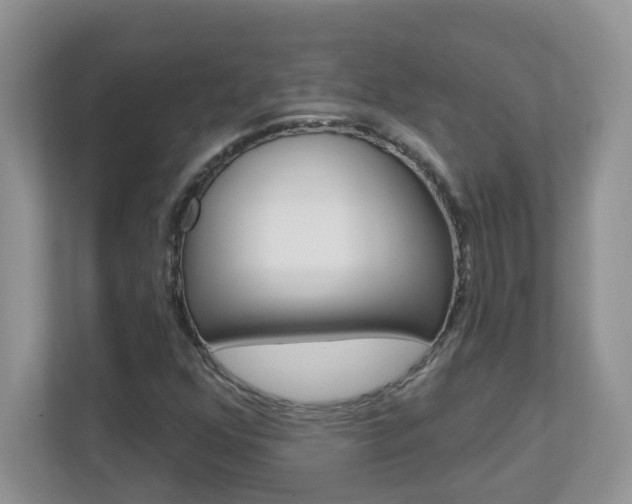 X0000112841352200908210950