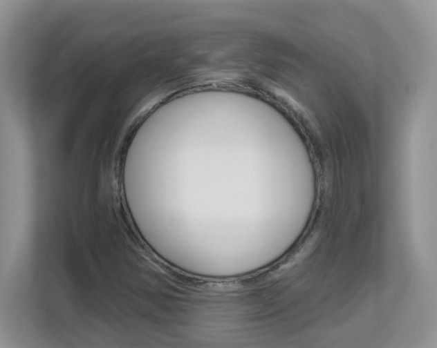 X0000112841354200908210950