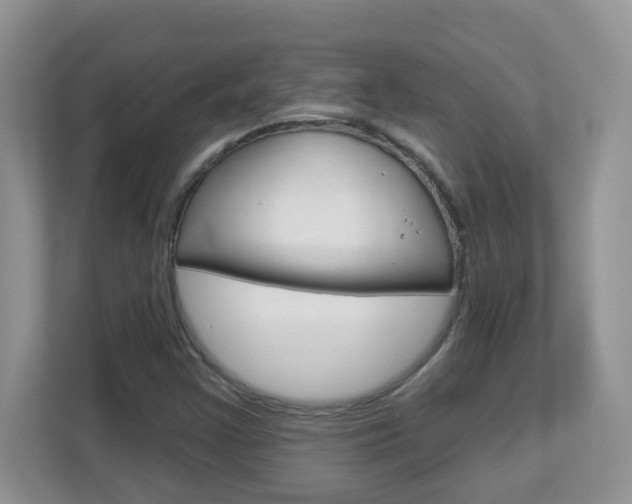 X0000112841355200908210950