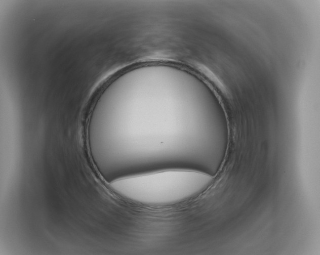X0000112841356200908210950