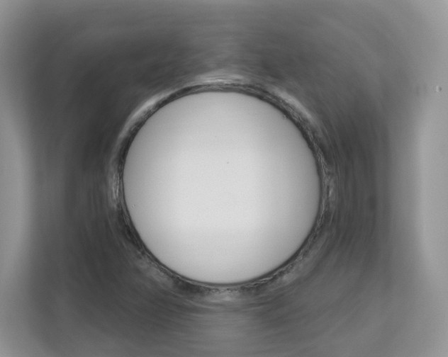 X0000112841358200908210950