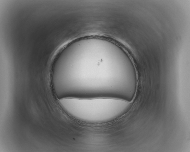 X0000112841359200908210950