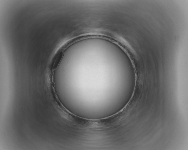 X0000112841360200908210950