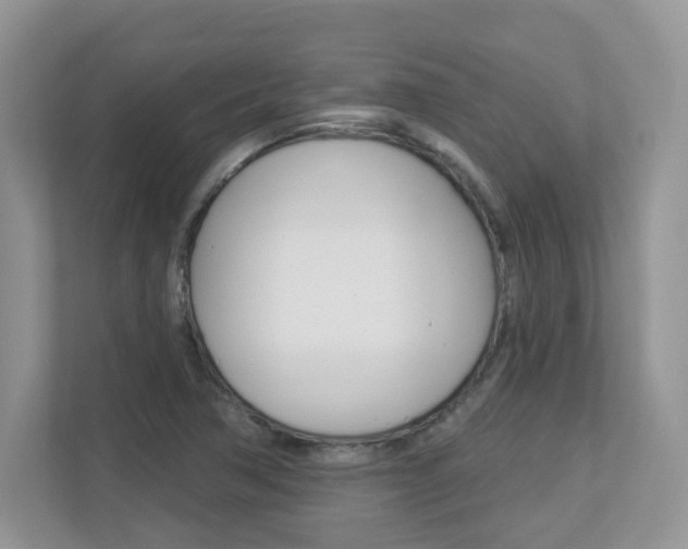 X0000112841362200908210950