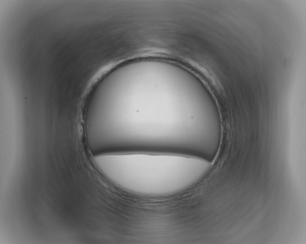 X0000112841363200908210950