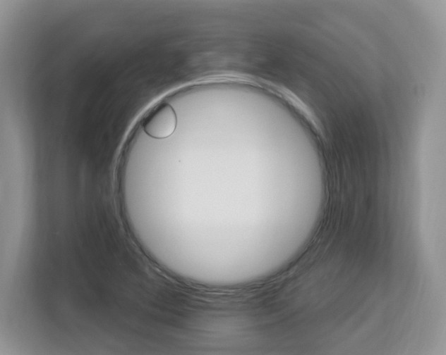 X0000112841364200908210950