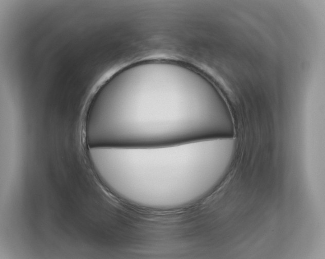 X0000112841367200908210950