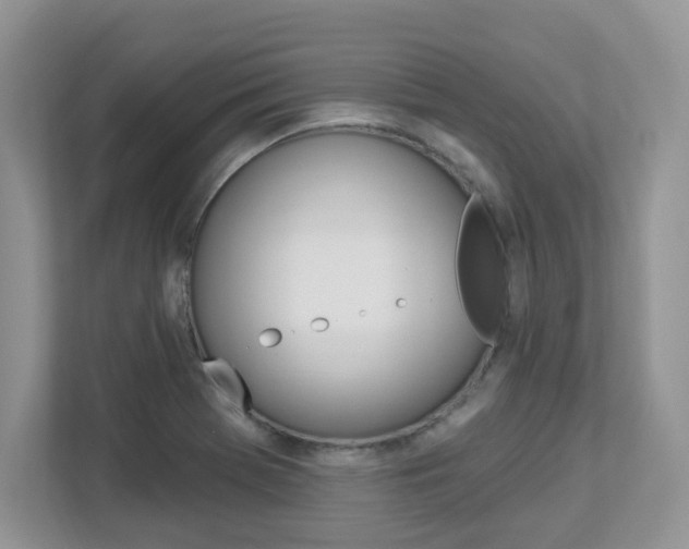 X0000112841369200908210950